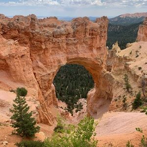 Meet your Posher, Gary